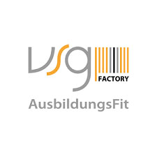 Logo vsg-factory